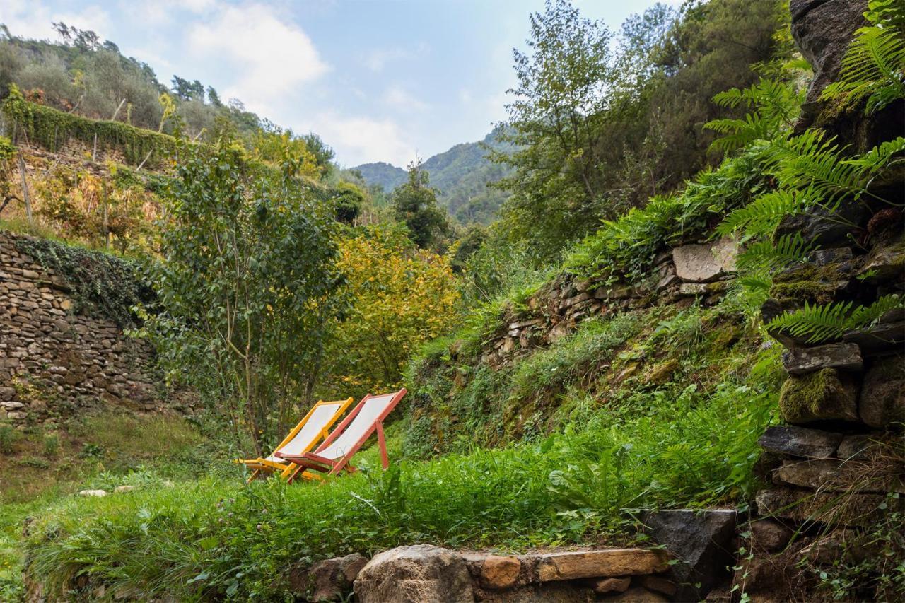 Agriturismo L'Adagio Badalucco Ngoại thất bức ảnh
